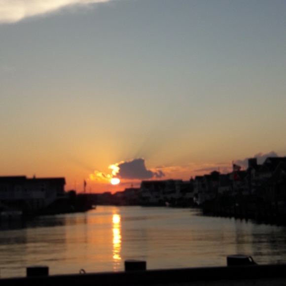 Meet your Posher, Joyce - Picture 5 of 8